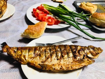 36340003_10101535454114517_2603991259420819456_n