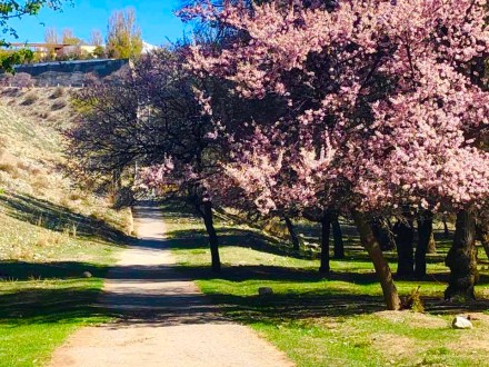 36365597_10101535445736307_8210239240852733952_n