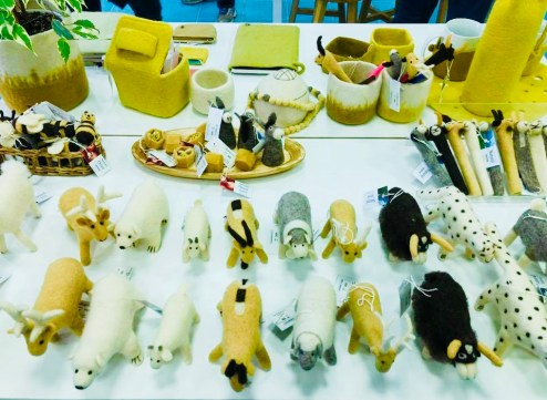 36444351_10101535449813137_1206477607894253568_n